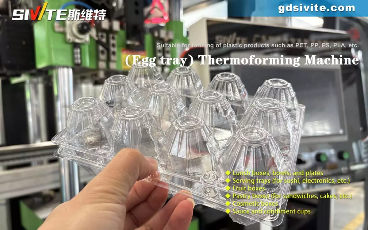 Are thermoforming machines the most efficient egg tray packaging solution?