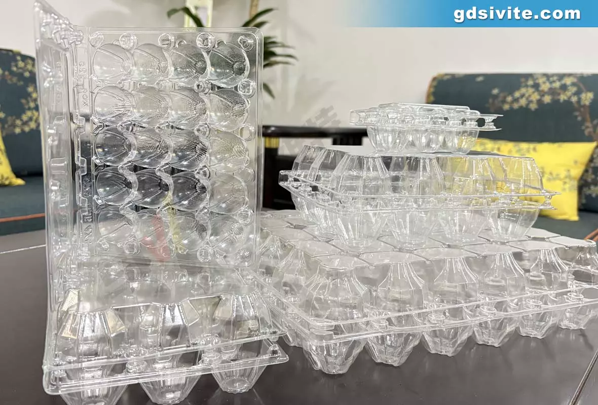 egg-tray-thermoforming-machine-manufacturer